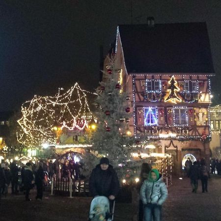 Maison De Vacances Avec Piscine, Proche Strasbourg Et Europa Park Sand Eksteriør billede