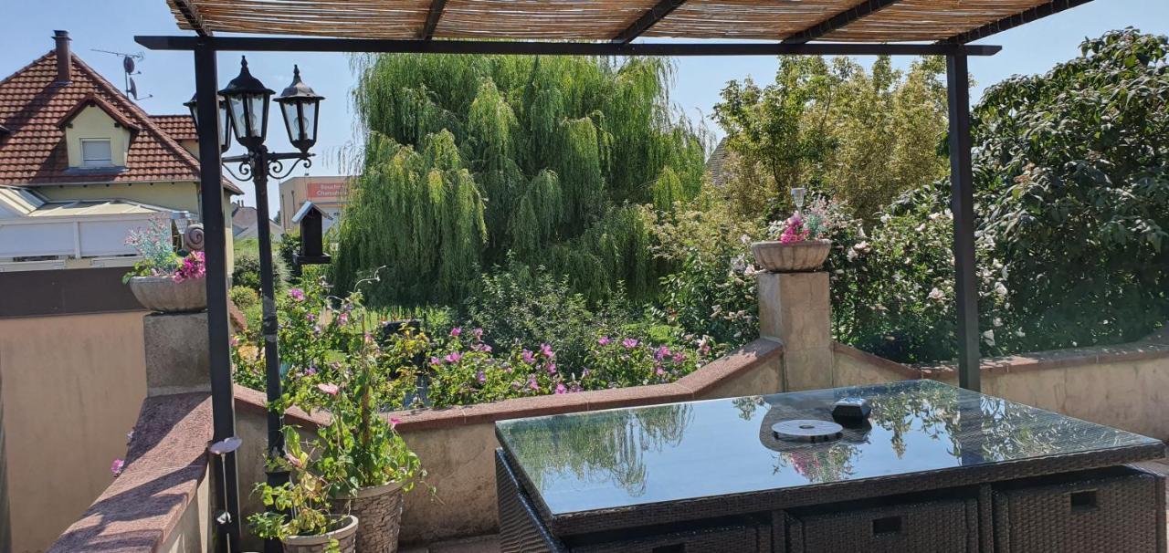 Maison De Vacances Avec Piscine, Proche Strasbourg Et Europa Park Sand Eksteriør billede