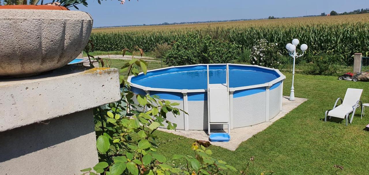 Maison De Vacances Avec Piscine, Proche Strasbourg Et Europa Park Sand Eksteriør billede